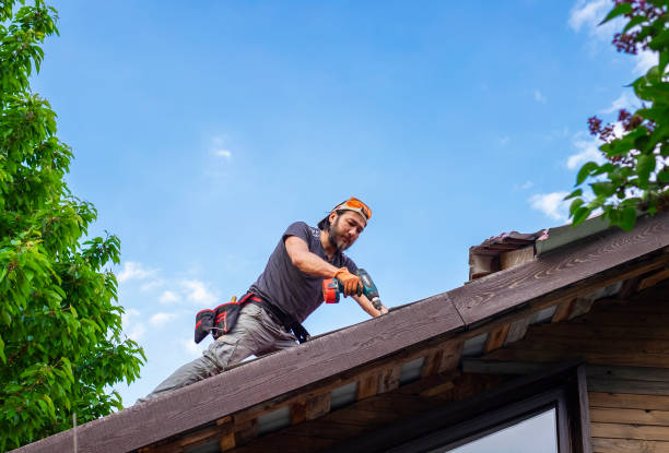 Best Gutter Installation and Repair  in Sand Point, AK