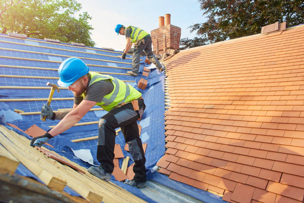 Best Roof Installation  in Sand Point, AK